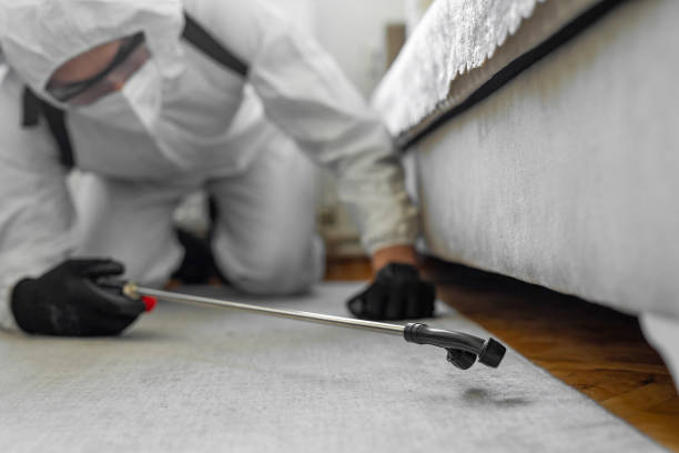 Professional Termite Control technician working in Delhi, CA