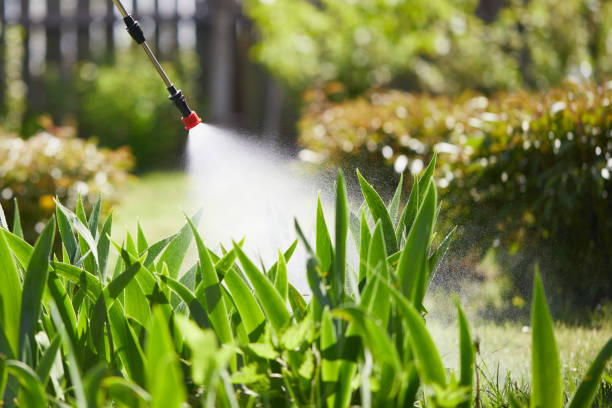 24/7 Emergency Termite Control experts in Delhi, CA